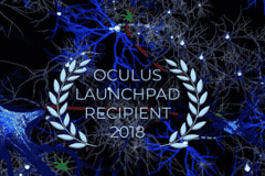 Oculus Launchpad 2018 Recipient title card for NeuroExplorer VR