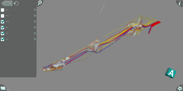 Stanford Anatomy Visualization Tool showing an interactive 3D viewer